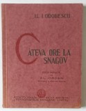 CATEVA ORE LA SNAGOV de AL. I. ODOBESCU
