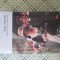 Jane Austen - Ratiune si simtire