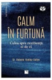 Calm &icirc;n furtună - Paperback brosat - Dr. Robyne Hanley-Dafoe - Niculescu