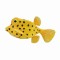 Figurina peste cubicus boxfish s collecta