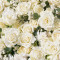 Fototapet de perete autoadeziv si lavabil Flori173 Trandafiri albi2, 200 x 150 cm