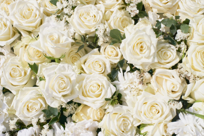 Fototapet autocolant Flori173 Trandafiri albi2, 220 x 135 cm