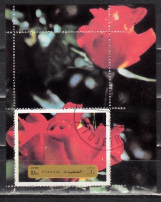 A10 JC 22 - Colita foarte veche - Fujeira - flori foto