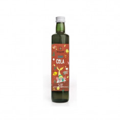 Sirop cola eco 0.5l sonnentor