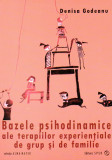 Bazele psihodinamice ale terapiilor experientiale de grup si de familie | Cristina Denisa Godeanu, Sper