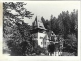 P3076N Castelul Pelișor