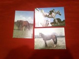 3 Ilustrate Romania - Cai- Trapas romanesc , Jockey Club si Obstacole