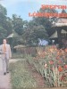 Romante - Stefan Lazarescu, Lautareasca