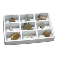 Kit Paleontologie Educational Insights Fosile foto