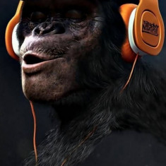 Husa Personalizata ASUS Zenfone Go ZC550TG Hip Hop Monkey