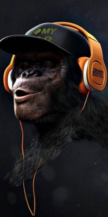 Husa Personalizata SAMSUNG Galaxy J4 Plus 2018 Hip Hop Monkey