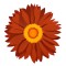 Sticker decorativ, Floare, Maro, 60 cm, 10395ST