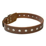 Zgardă din piele pentru c&acirc;ini - 76cm, 35mm - maro, Zgarda, COLLAR