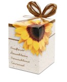 Greengifts Box Greengifts Sunflower Kit Gradinarit