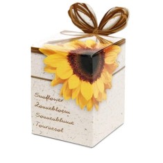 Greengifts Box Greengifts Sunflower Kit Gradinarit