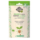 Seminte de Ceapa pentru Germinat Bio Germline 50gr