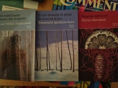 3 carti de poezie OMG Lyrix 2+1 gratis ignatoiu Sora Florin gherman