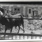 Fotografie vaca indiana Viena Parcul Zoologic iunie 1945 militar roman front