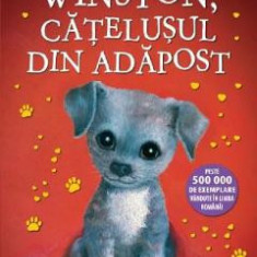 Winston, catelusul din adapost. Povesti cu animale - Holly Webb