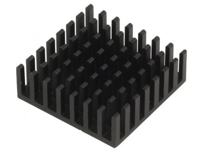 Radiator Aluminiu Negru 29x29x10mm foto