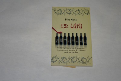 12 luni - Biba Merlo foto
