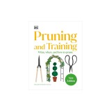 Pruning and Training: What, When, and How to Prune Over 800 Plants