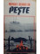 Foto  - 1