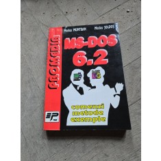 MS-DOS 6.2 - Marius Muntean, Marius Joldoș