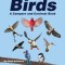 Birds: A Compare and Contrast Book