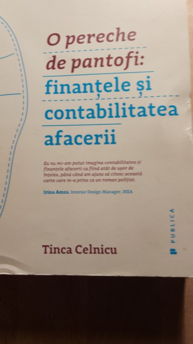 O pereche de pantofi,finanțele și contabilitatea afacerii,Tinca ilinca