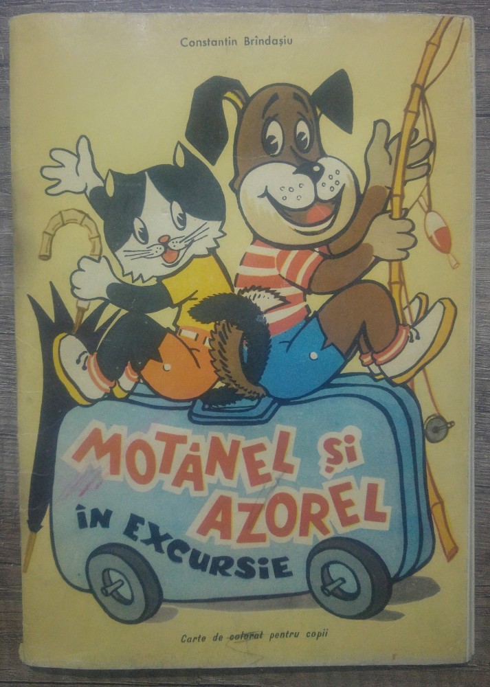 Motanel si Azorel in excursie - Constantin Brindasiu/ carte de colorat ...