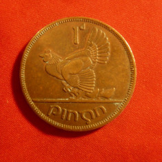 Moneda 1 pence 1968 Irlanda -cal. apr.NC ,cocos munte verso