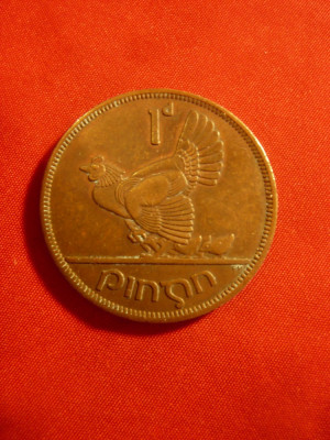 Moneda 1 pence 1968 Irlanda -cal. apr.NC ,cocos munte verso foto