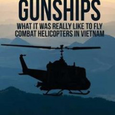 Guts 'N Gunships: What it was Really Like to Fly Combat Helicopters in Vietnam - Mark Garrison