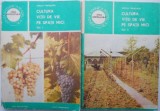 Cultura vitei de vie pe spatii mici (2 volume) &ndash; Sarghi Trandafir