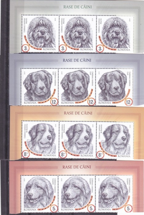 RASE DE CAINI,TRIPTIC CU MARGINE DE COALA,2019,Lp.2230,MNH.ROMANIA.