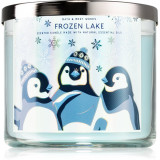 Bath &amp; Body Works Frozen Lake lum&acirc;nare parfumată IV. 411 g