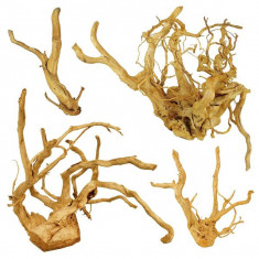 Cuckoo Root &quot;PREMIUM&quot; rădăcină pentru acvariu, 30 - 60 cm