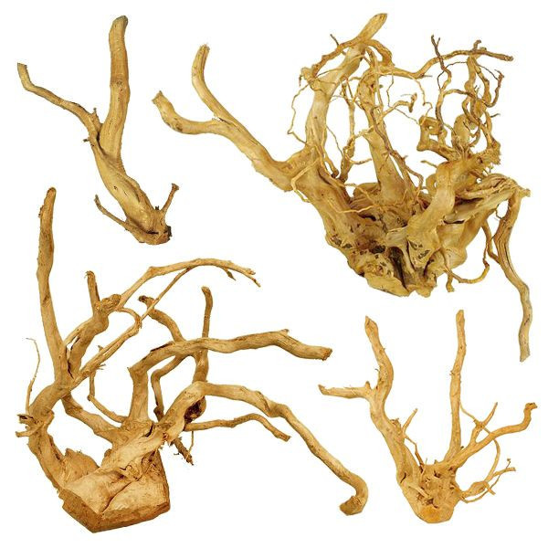 Cuckoo Root &amp;quot;PREMIUM&amp;quot; rădăcină pentru acvariu, 30 - 60 cm