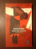 Andrei Pintilie - Efectul de cortină: poezii (1966-1986) (ilustrații Mircea Roman)