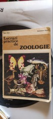 LUCRARI PRACTICE DE ZOOLOGIE- MARIA SUCIU, ALEXANDRINA POPESCU