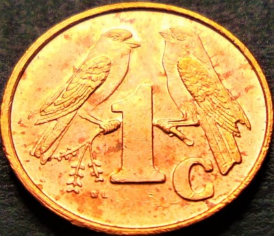 Moneda 1 CENT - AFRICA de SUD, anul 1999 *cod 5294 = ISEWULA AFRIKA foto