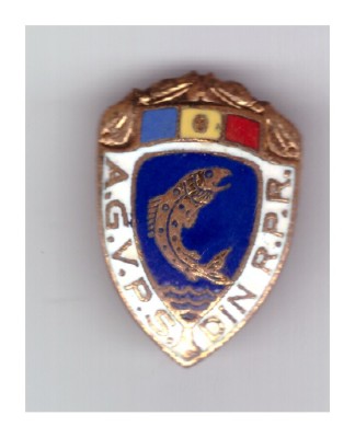 Insigna AGVPS din RPR foto