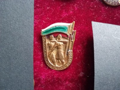 1949 Insigna sovietica-fizcultura foto
