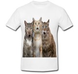 Cumpara ieftin Tricou &quot; Surprise cat &quot;