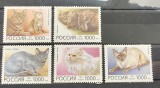 Rusia 1996 - Mi 485/489 - Fauna - Pisici domestice