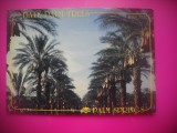HOPCT 8456 PALMIERI CURMALI-PALM SPRINGS-CALIFORNIA-SUA-AMERICA DE NORD -NECIRCULATASE