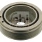 FEBI BILSTEIN 30171 Fulie curea, arbore cotit