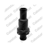 Calorstat by Vernet termostat, lichid racire