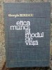 Gheorghe Berescu - Etica muncii și modul de viață